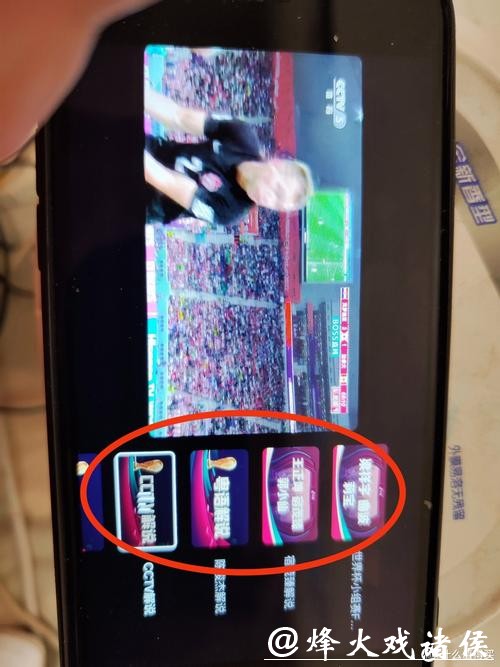 如何掌握世界杯直播观看技巧